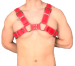 Arnés Sado Cuero Wembley - Imagen 3